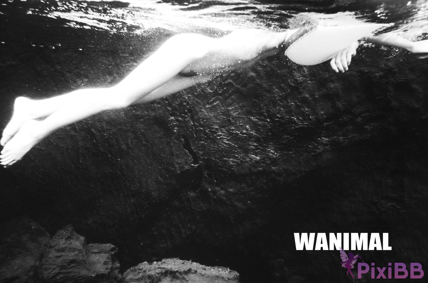 OtherXXX WANIMAL Wang Dong VIP Set of pictures Official product No.11 PixiBB.COM 004