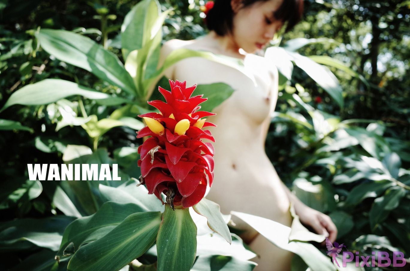 OtherXXX WANIMAL Wang Dong VIP Set of pictures Official product No.11 PixiBB.COM 007