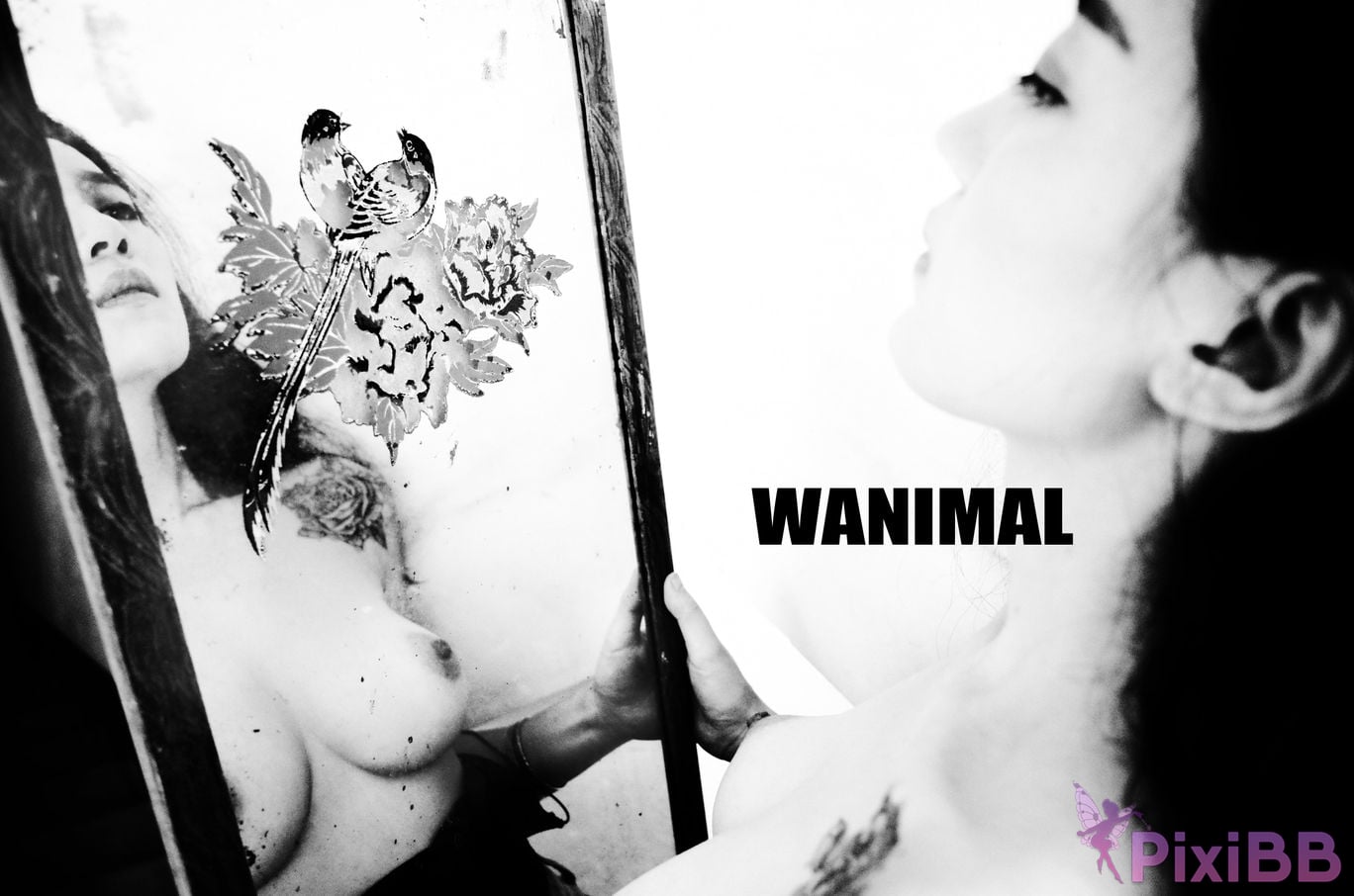 OtherXXX WANIMAL Wang Dong VIP Set of pictures Official product No.11 PixiBB.COM 012