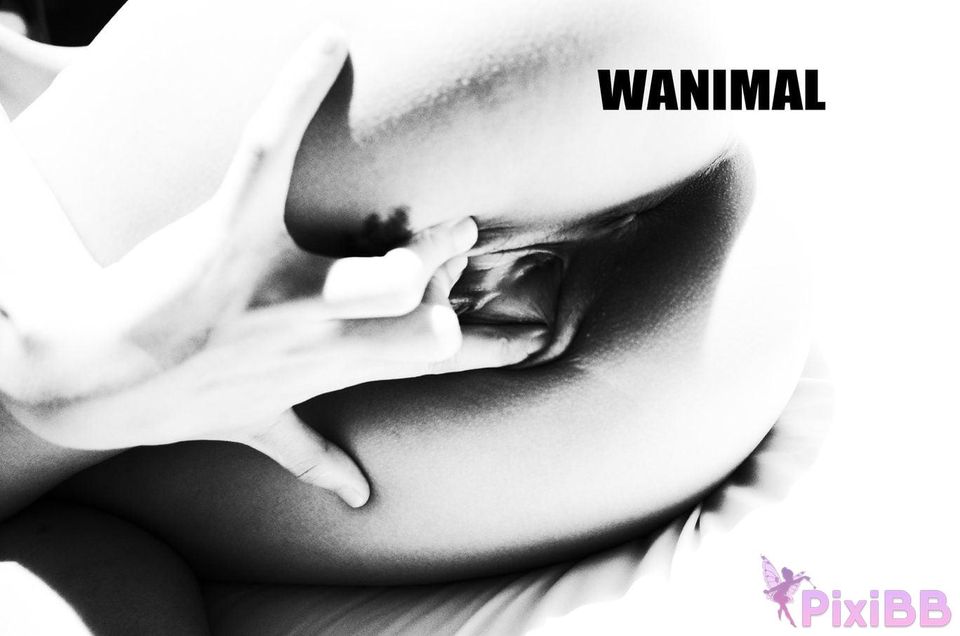 OtherXXX WANIMAL Wang Dong VIP Set of pictures Official product No.11 PixiBB.COM 014