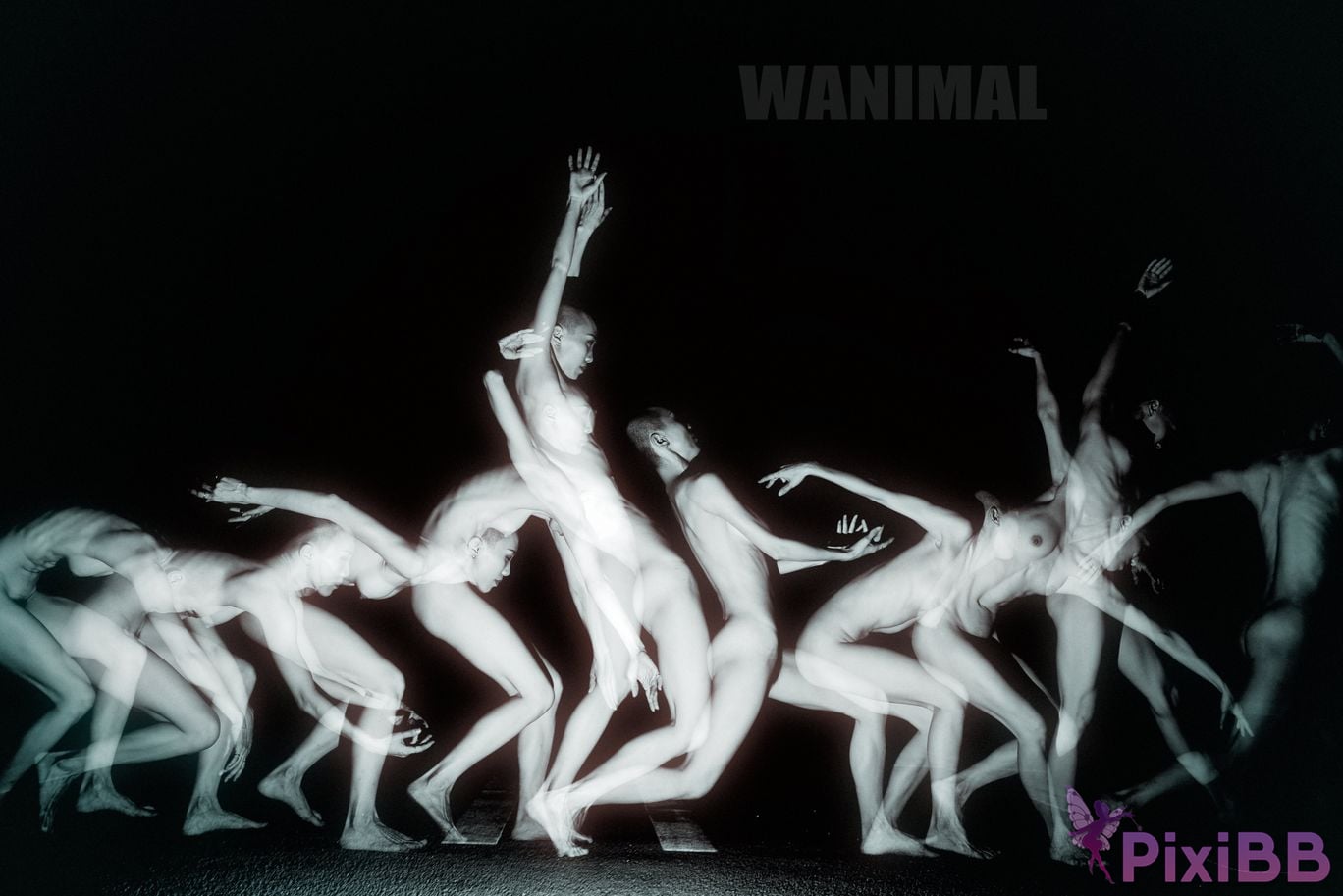 OtherXXX WANIMAL Wang Dong VIP Set of pictures Official product No.11 PixiBB.COM 022
