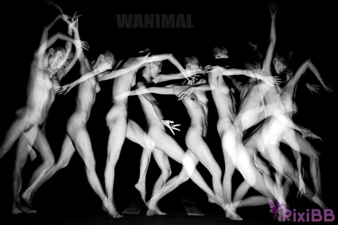 OtherXXX WANIMAL Wang Dong VIP Set of pictures Official product No.11 PixiBB.COM 023