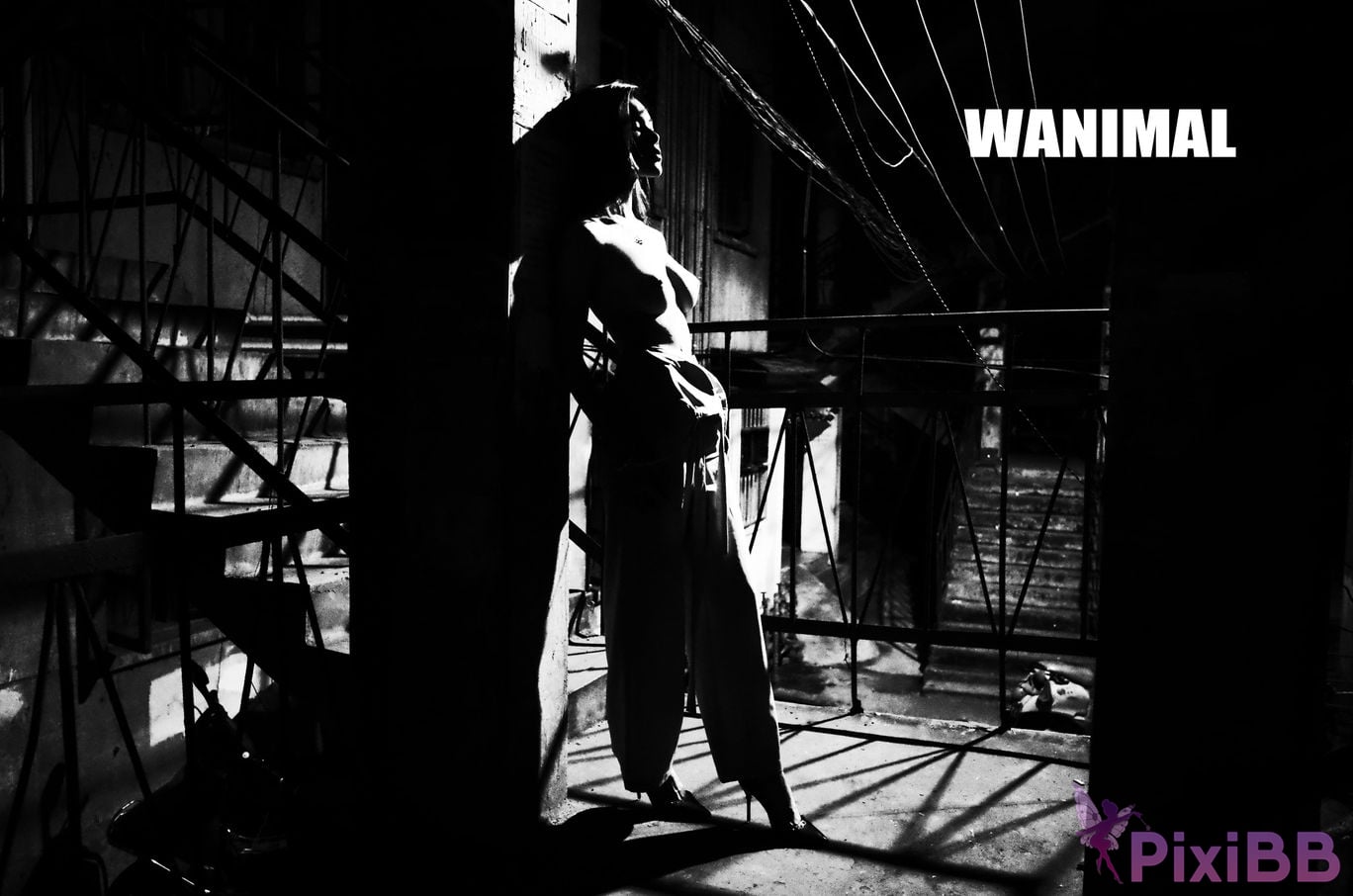 OtherXXX WANIMAL Wang Dong VIP Set of pictures Official product No.11 PixiBB.COM 027