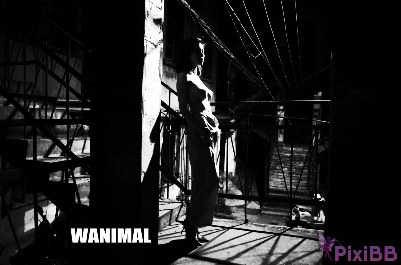 OtherXXX WANIMAL Wang Dong VIP Set of pictures Official product No.11 PixiBB.COM 028