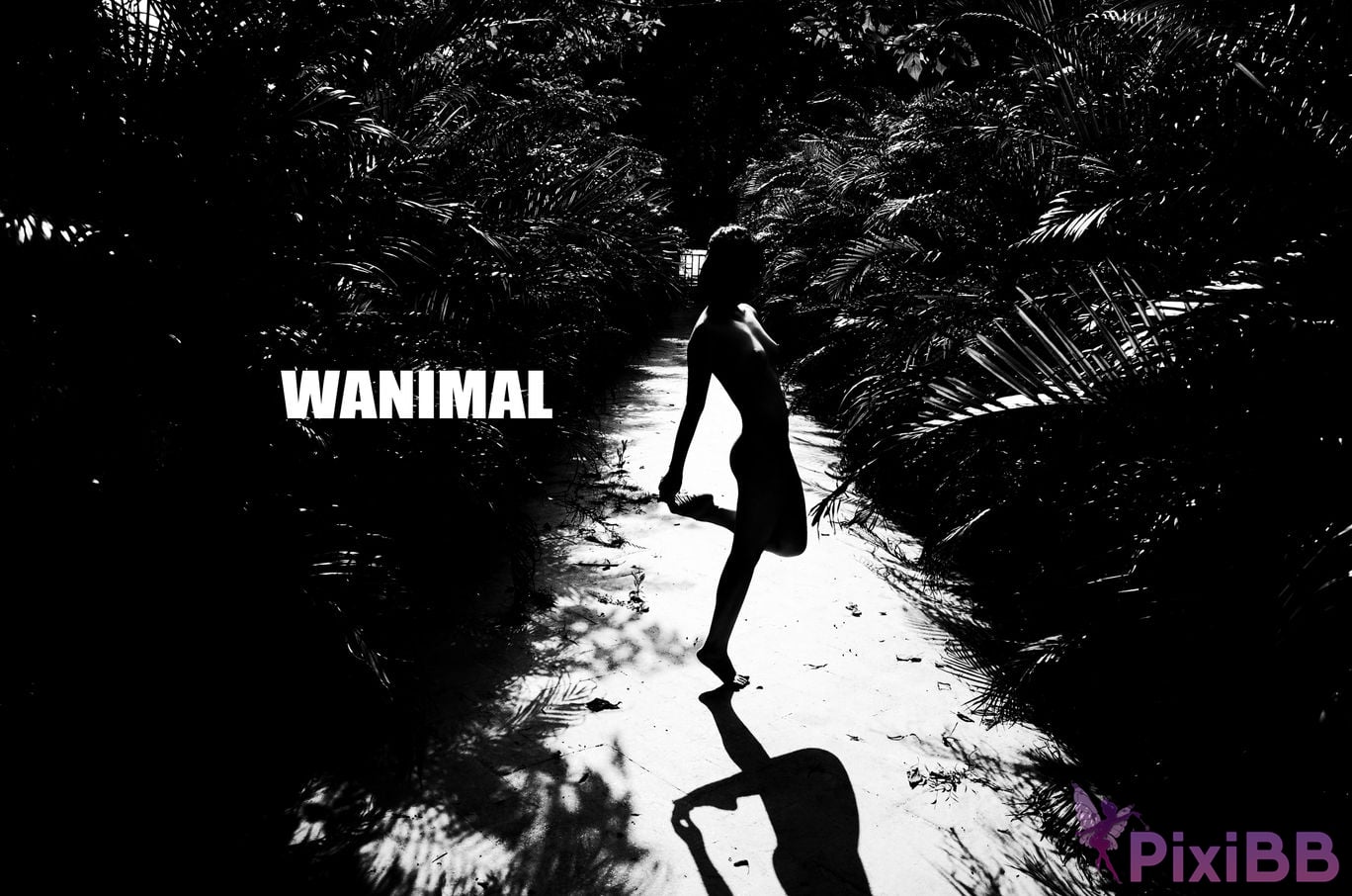 OtherXXX WANIMAL Wang Dong VIP Set of pictures Official product No.11 PixiBB.COM 029