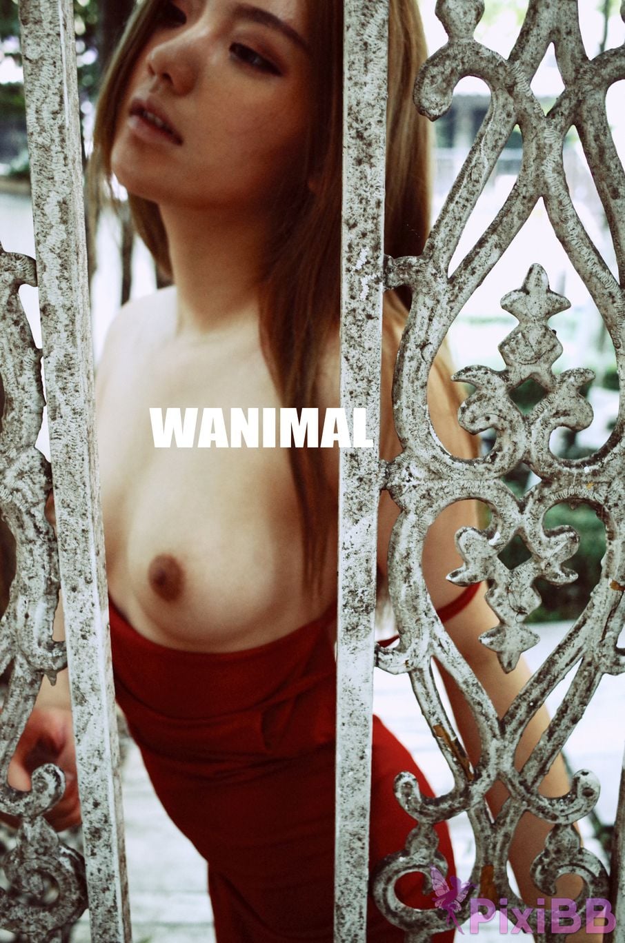OtherXXX WANIMAL Wang Dong VIP Set of pictures Official product No.11 PixiBB.COM 035