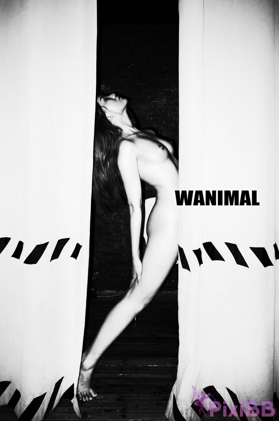 OtherXXX WANIMAL Wang Dong VIP Set of pictures Official product No.11 PixiBB.COM 036