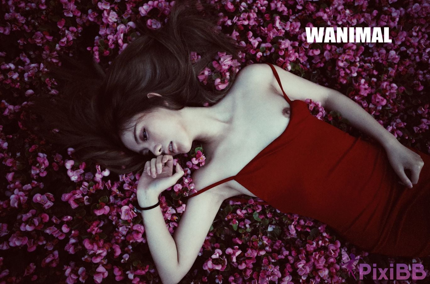 OtherXXX WANIMAL Wang Dong VIP Set of pictures Official product No.11 PixiBB.COM 038
