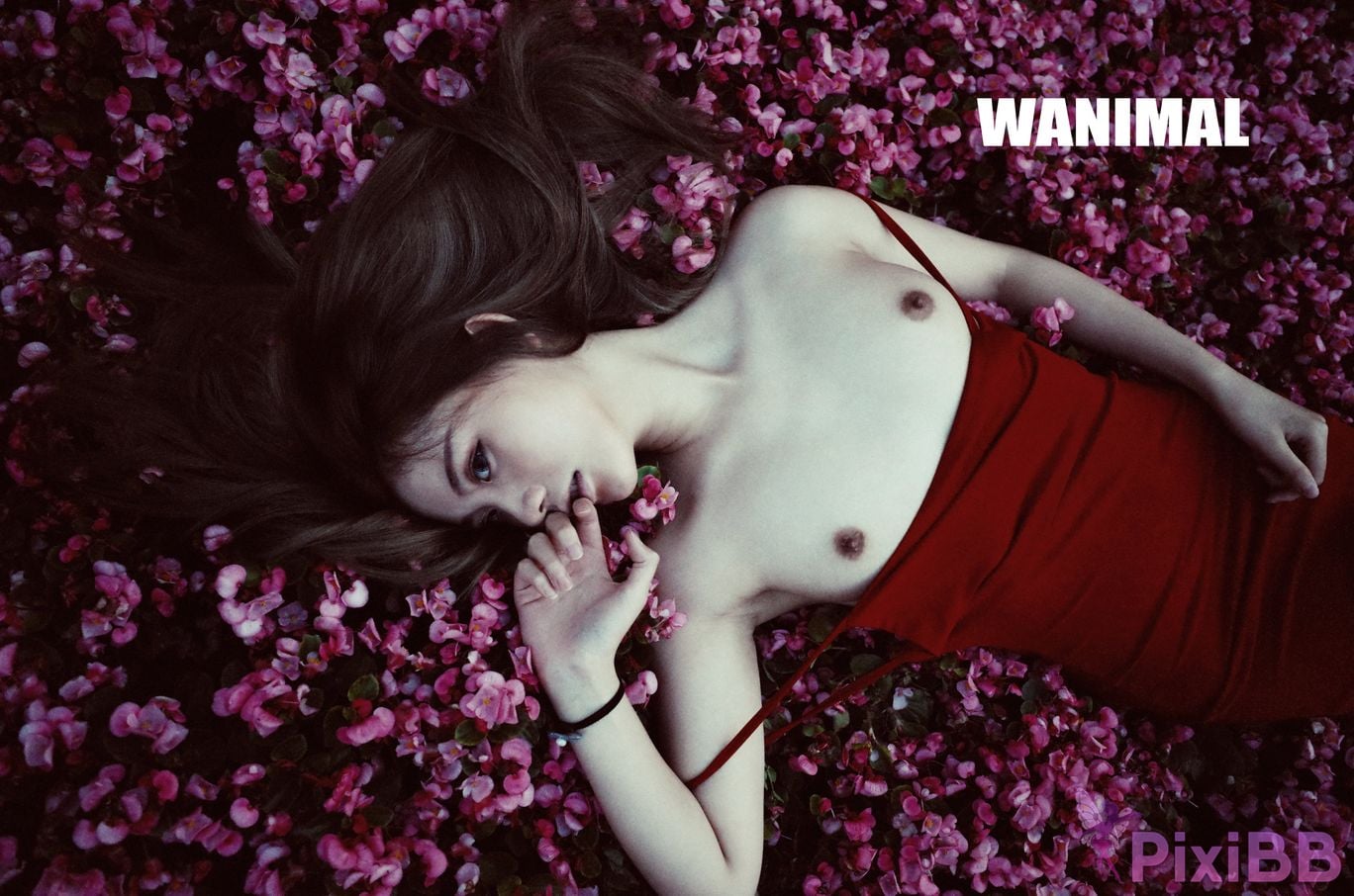 OtherXXX WANIMAL Wang Dong VIP Set of pictures Official product No.11 PixiBB.COM 039
