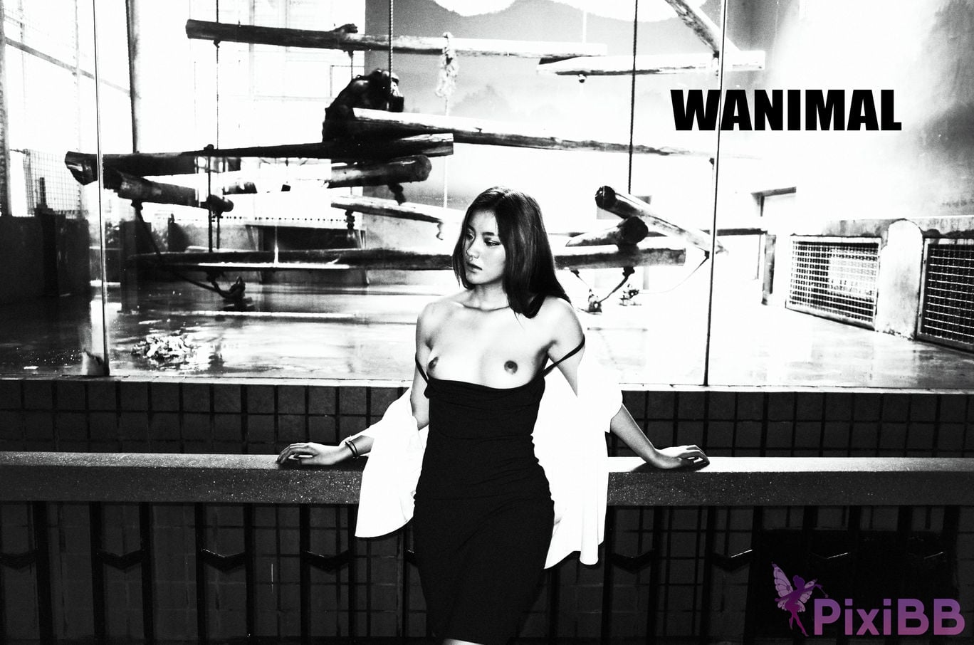 OtherXXX WANIMAL Wang Dong VIP Set of pictures Official product No.11 PixiBB.COM 044