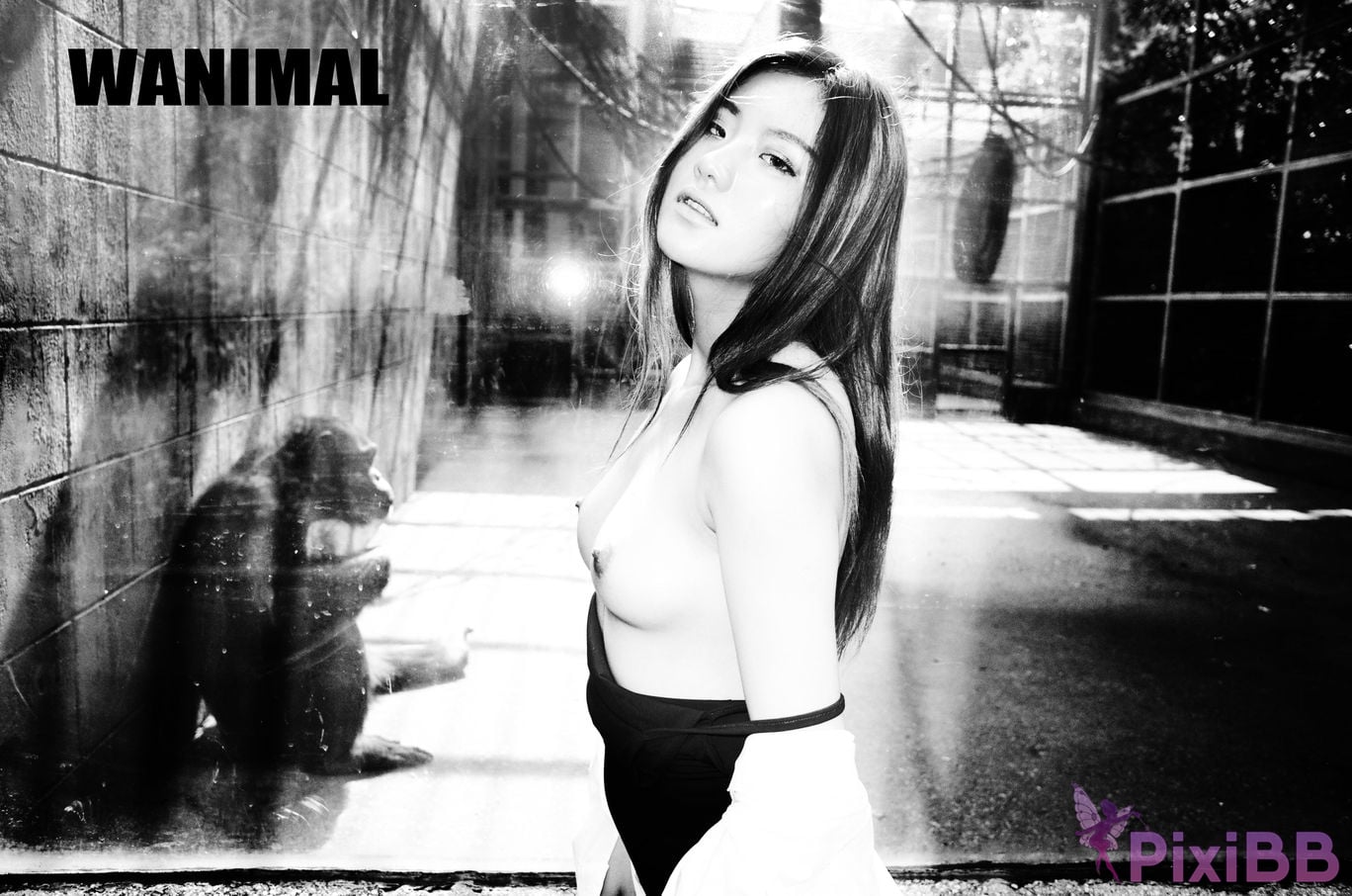 OtherXXX WANIMAL Wang Dong VIP Set of pictures Official product No.11 PixiBB.COM 045
