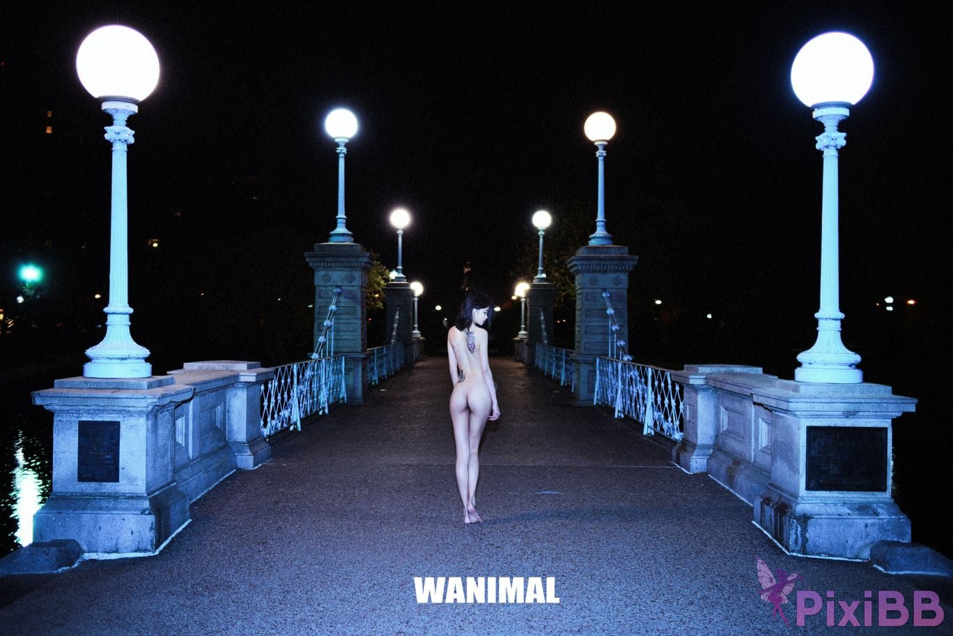 OtherXXX WANIMAL Wang Dong VIP Set of pictures Official product No.11 PixiBB.COM 076