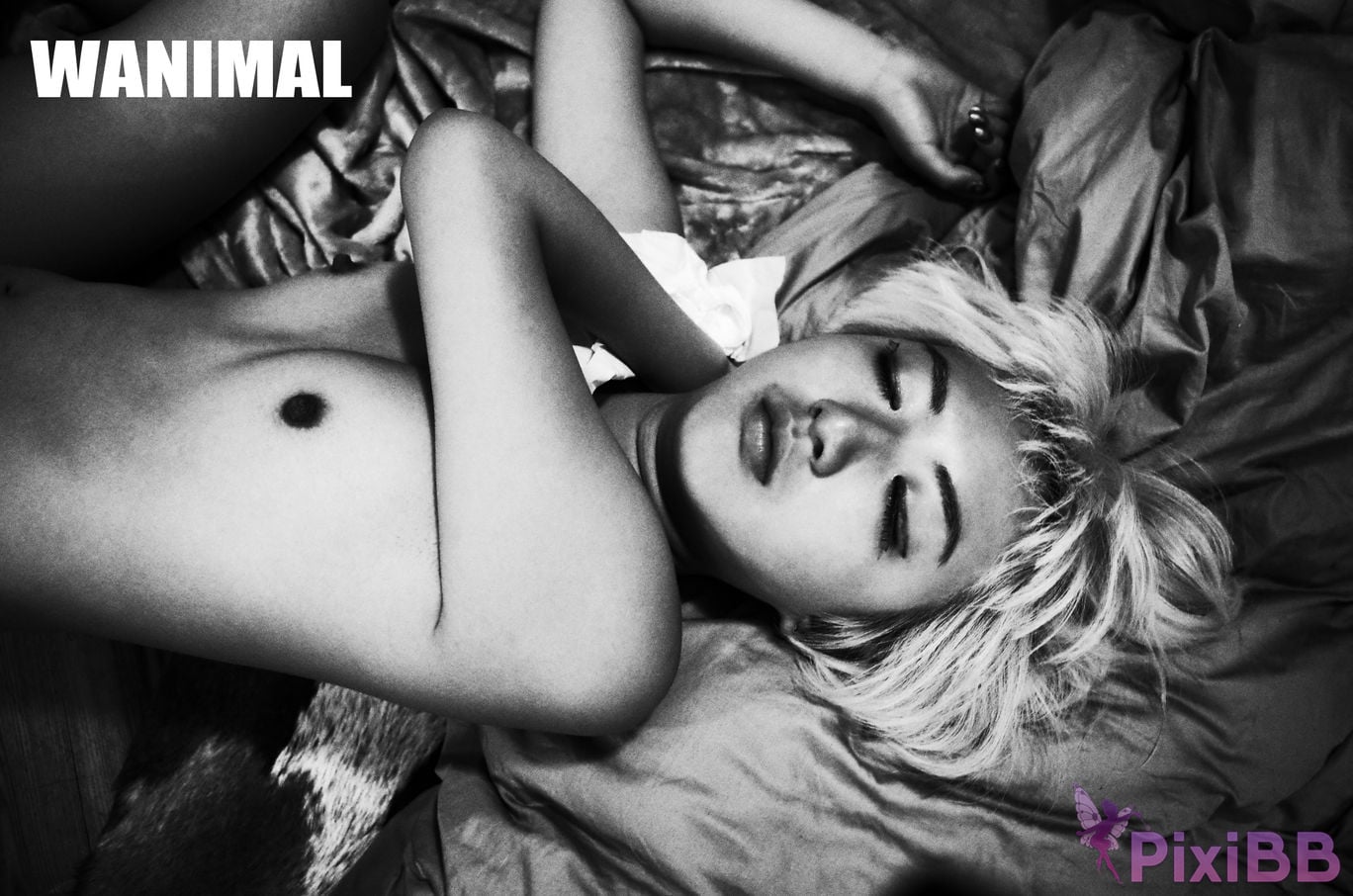 OtherXXX WANIMAL Wang Dong VIP Set of pictures Official product No.11 PixiBB.COM 109