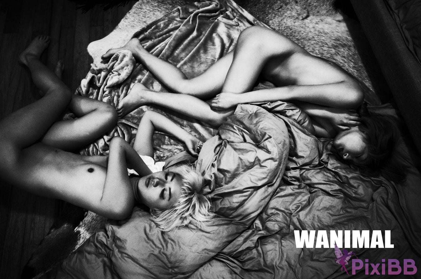 OtherXXX WANIMAL Wang Dong VIP Set of pictures Official product No.11 PixiBB.COM 110