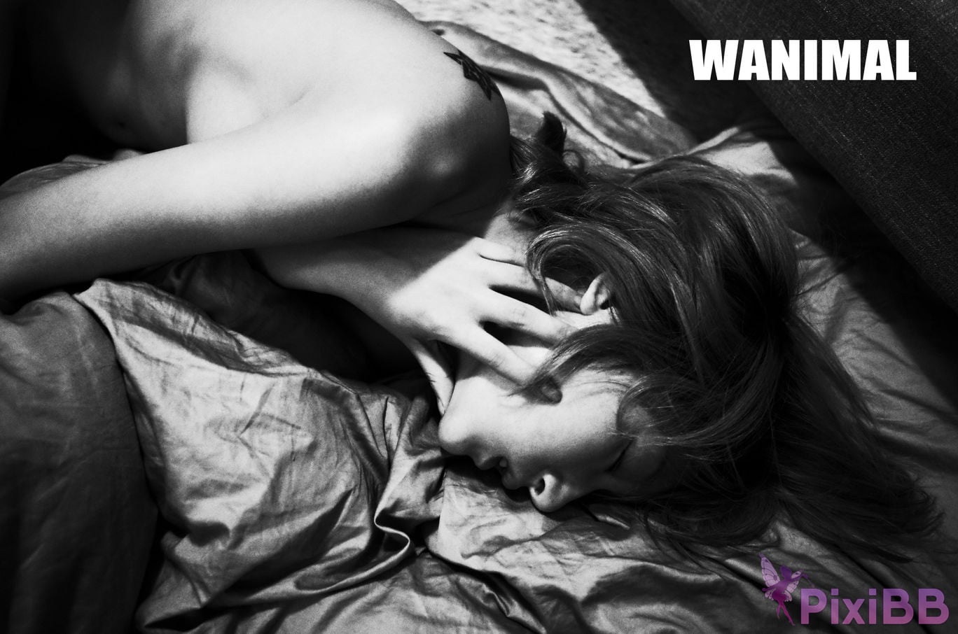 OtherXXX WANIMAL Wang Dong VIP Set of pictures Official product No.11 PixiBB.COM 111