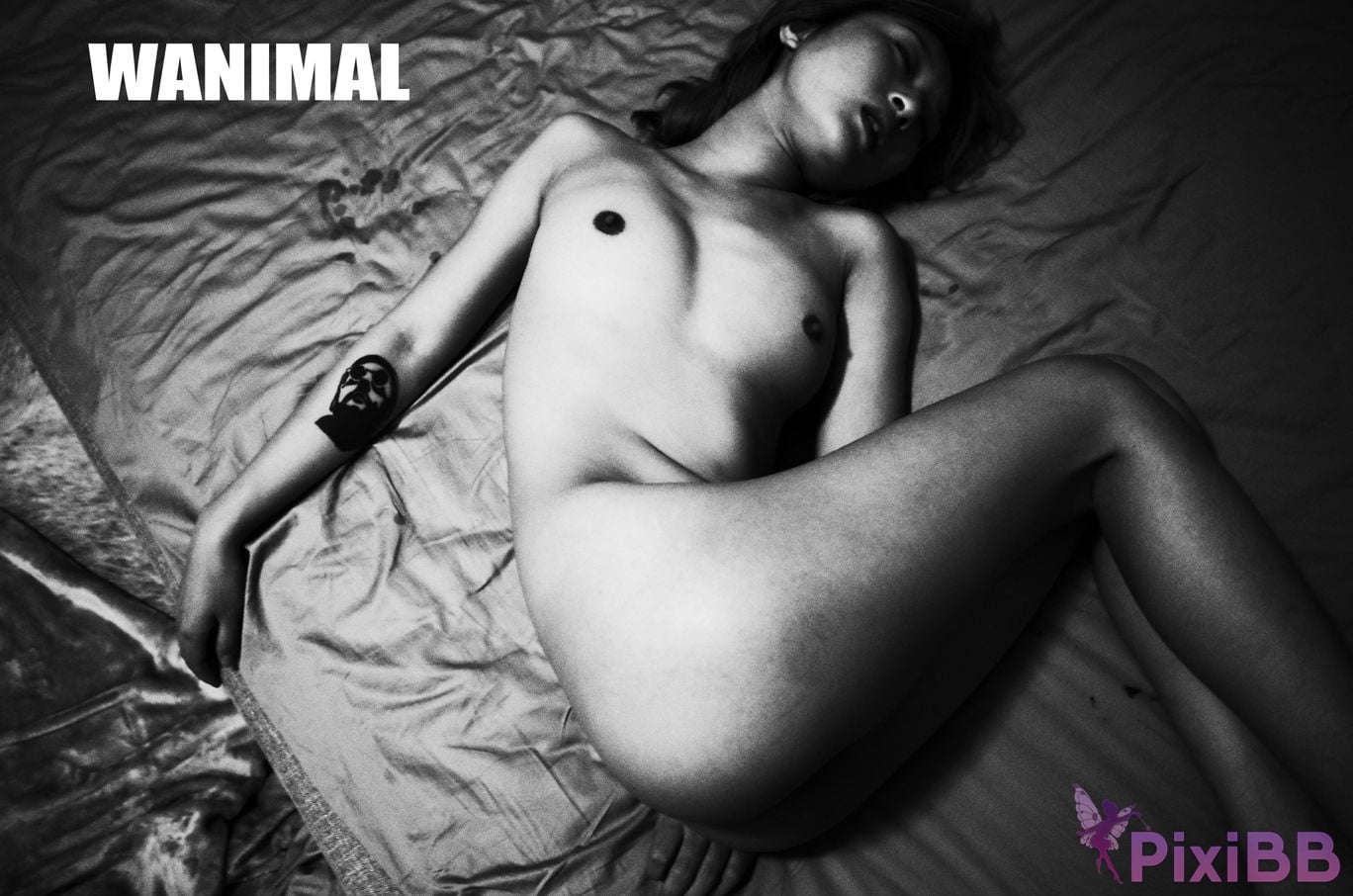 OtherXXX WANIMAL Wang Dong VIP Set of pictures Official product No.11 PixiBB.COM 121