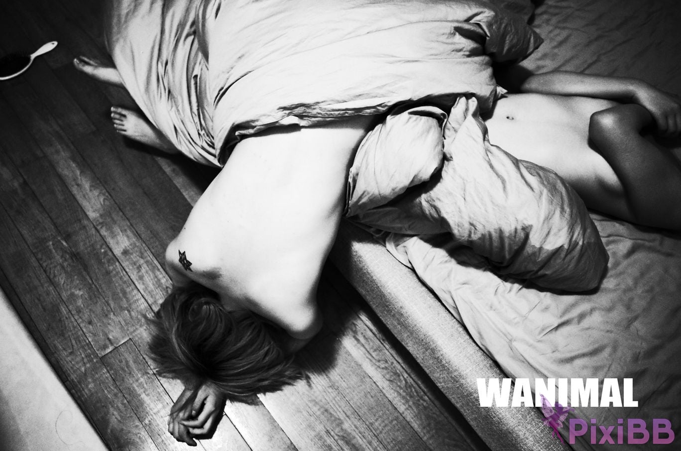 OtherXXX WANIMAL Wang Dong VIP Set of pictures Official product No.11 PixiBB.COM 122