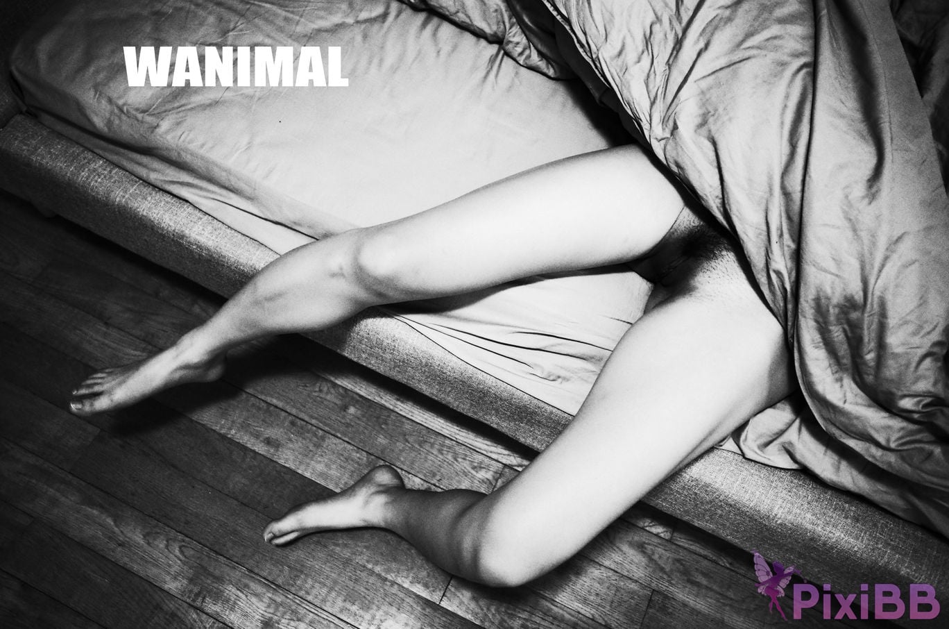OtherXXX WANIMAL Wang Dong VIP Set of pictures Official product No.11 PixiBB.COM 123