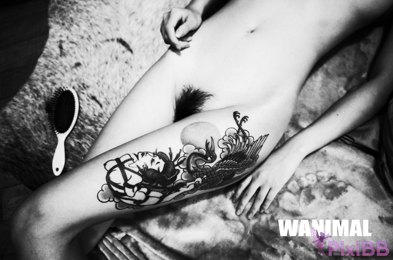 OtherXXX WANIMAL Wang Dong VIP Set of pictures Official product No.11 PixiBB.COM 124