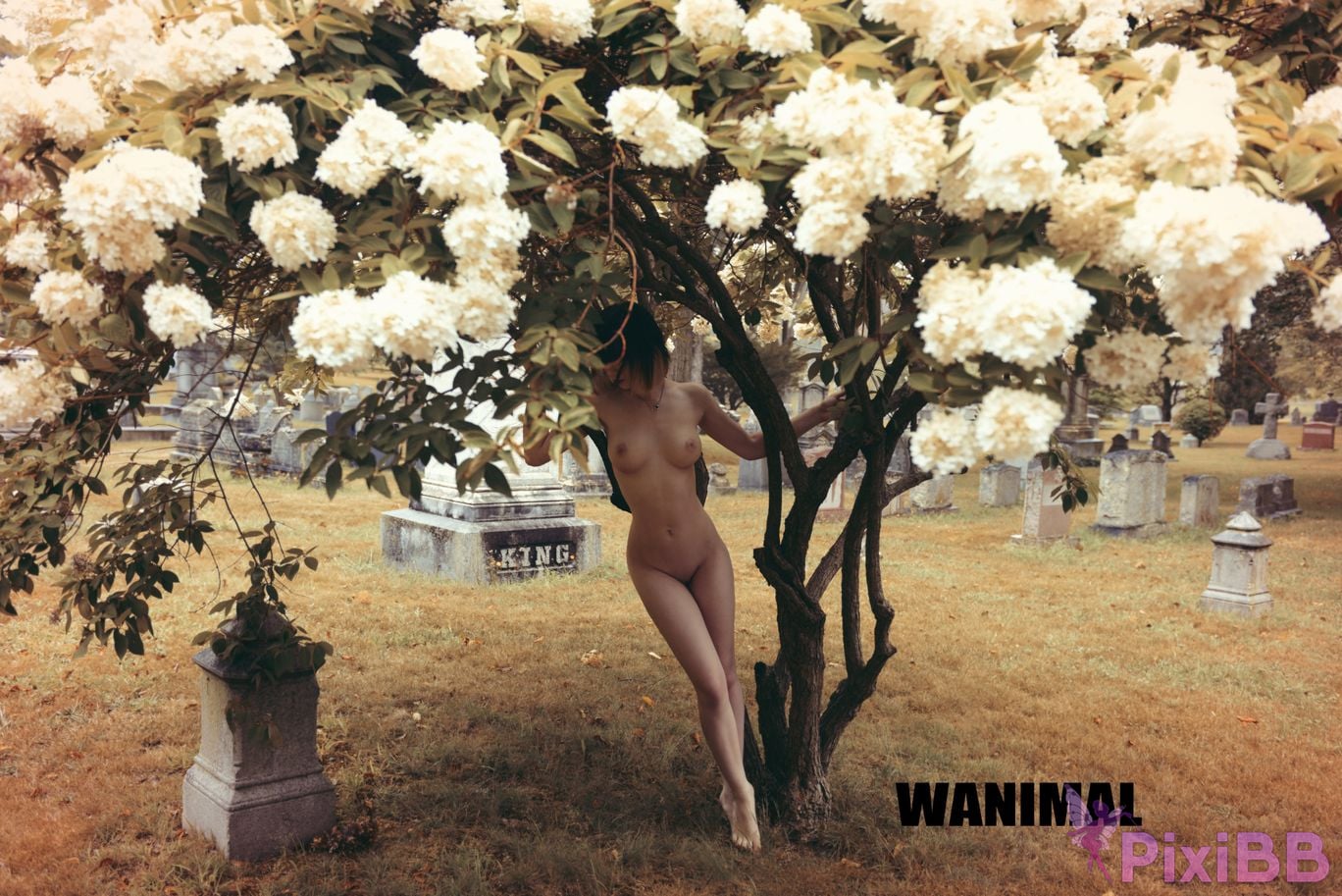 OtherXXX WANIMAL Wang Dong VIP Set of pictures Official product No.11 PixiBB.COM 144
