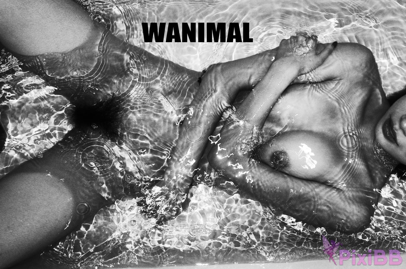 OtherXXX WANIMAL Wang Dong VIP Set of pictures Official product No.11 PixiBB.COM 166