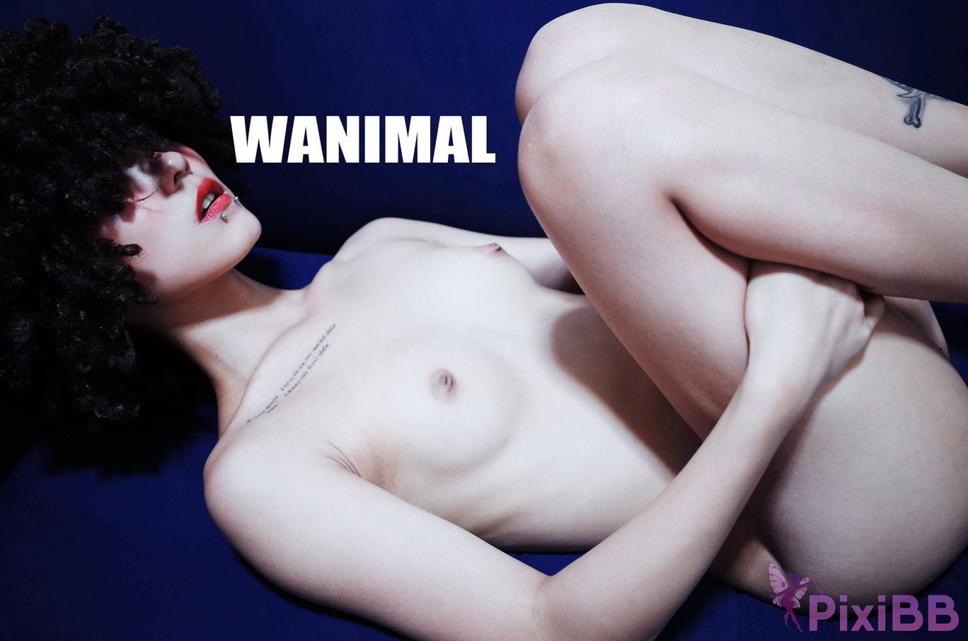 OtherXXX WANIMAL Wang Dong VIP Set of pictures Official product No.11 PixiBB.COM 172.JPG