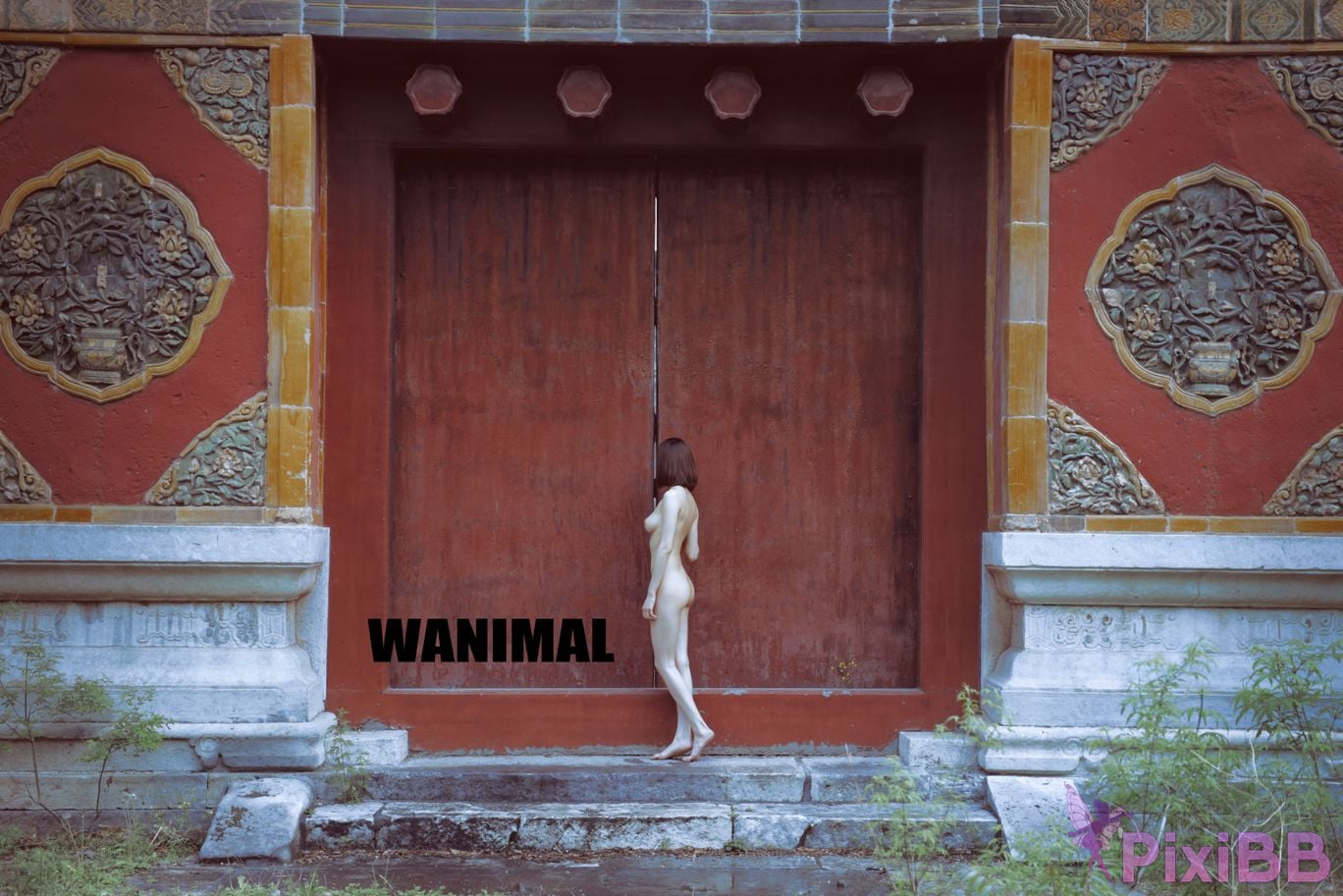 OtherXXX WANIMAL Wang Dong VIP Set of pictures Official product No.11 PixiBB.COM 182