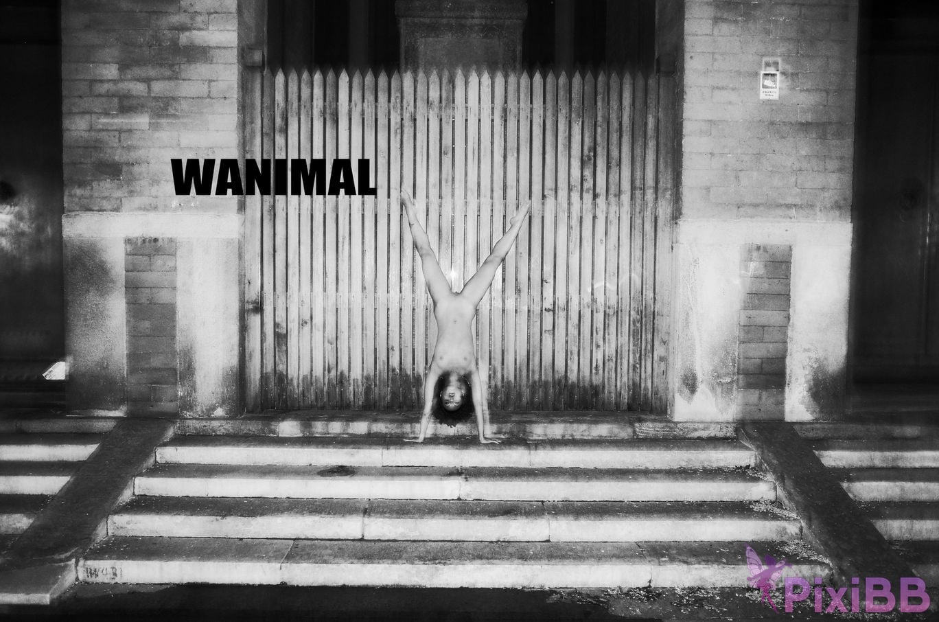 OtherXXX WANIMAL Wang Dong VIP Set of pictures Official product No.11 PixiBB.COM 210