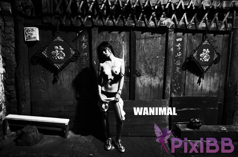 OtherXXX WANIMAL Wang Dong VIP Set of pictures Official product No.11 PixiBB.COM 228