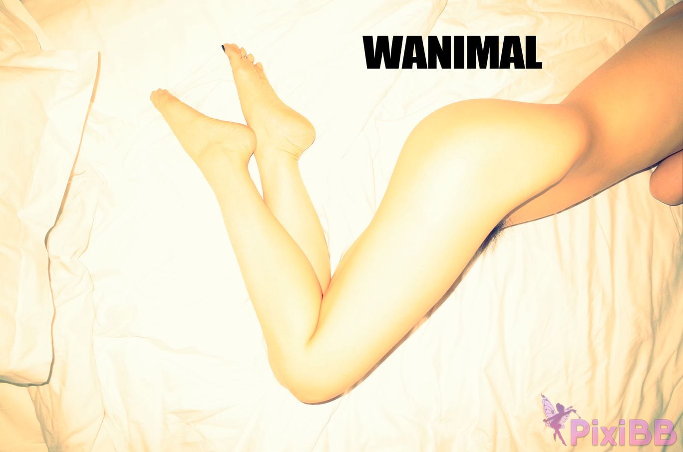 OtherXXX WANIMAL Wang Dong VIP Set of pictures Official product No.10 PixiBB.COM 001.JPG