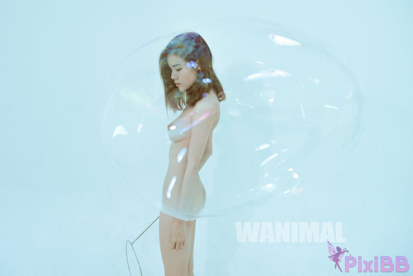 OtherXXX WANIMAL Wang Dong VIP Set of pictures Official product No.10 PixiBB.COM 026