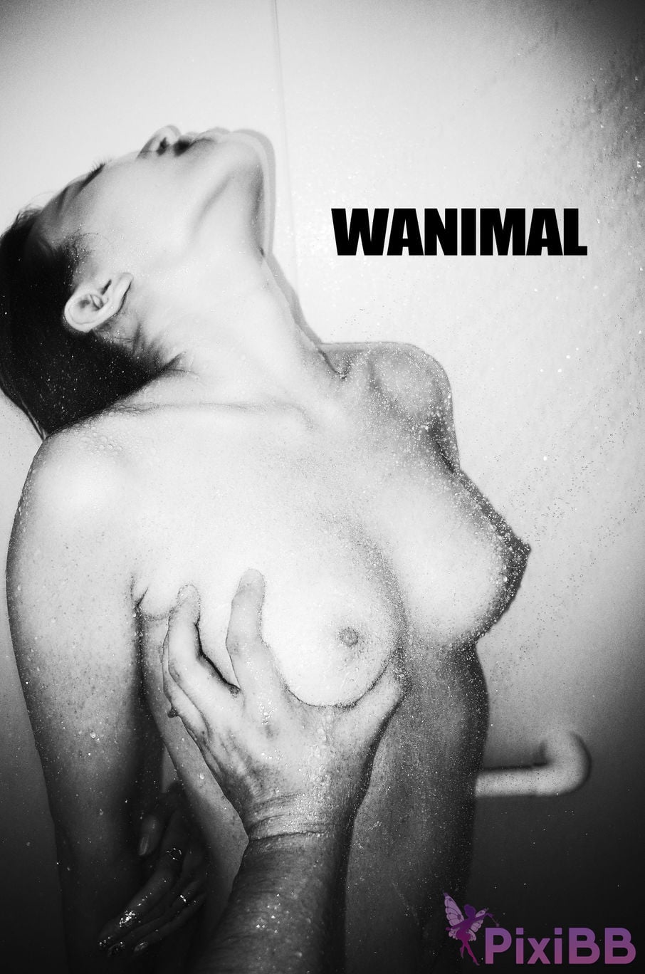 OtherXXX WANIMAL Wang Dong VIP Set of pictures Official product No.10 PixiBB.COM 051.JPG