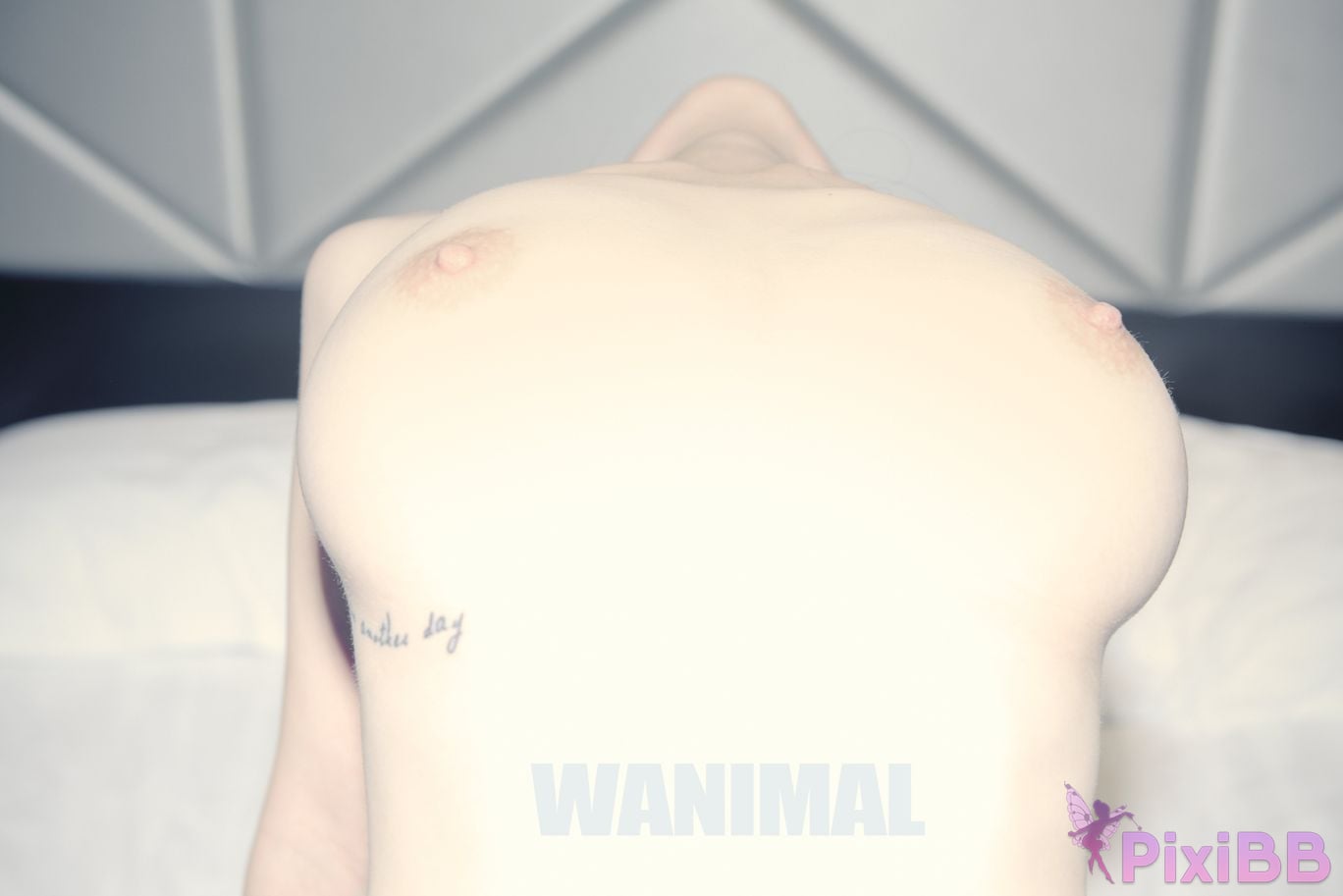 OtherXXX WANIMAL Wang Dong VIP Set of pictures Official product No.10 PixiBB.COM 059
