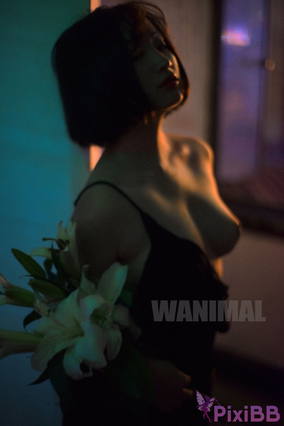 OtherXXX WANIMAL Wang Dong VIP Set of pictures Official product No.10 PixiBB.COM 079