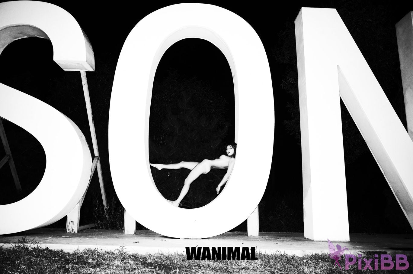 OtherXXX WANIMAL Wang Dong VIP Set of pictures Official product No.10 PixiBB.COM 080.JPG