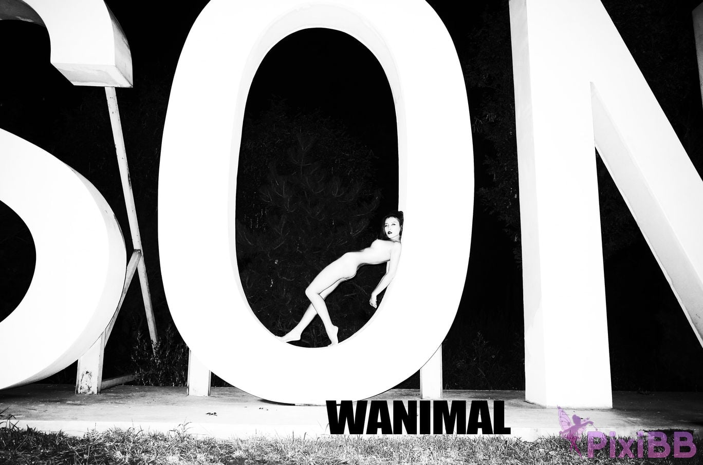 OtherXXX WANIMAL Wang Dong VIP Set of pictures Official product No.10 PixiBB.COM 081.JPG