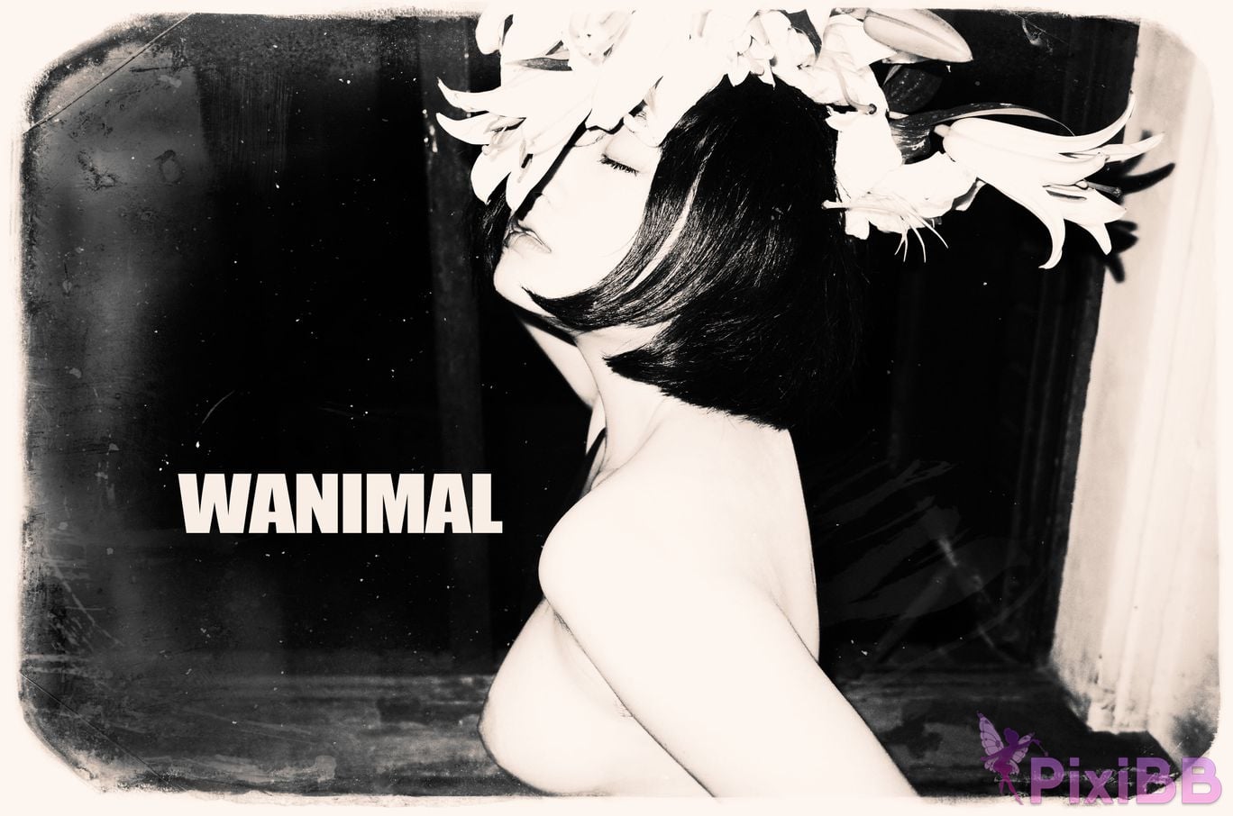 OtherXXX WANIMAL Wang Dong VIP Set of pictures Official product No.10 PixiBB.COM 084