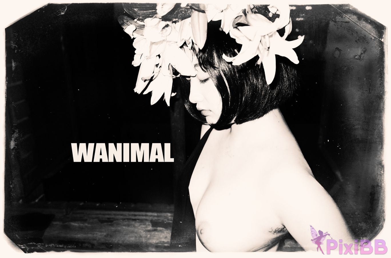 OtherXXX WANIMAL Wang Dong VIP Set of pictures Official product No.10 PixiBB.COM 088