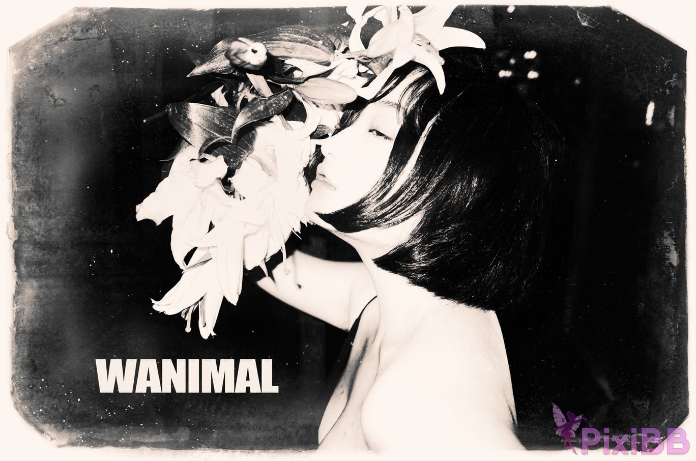 OtherXXX WANIMAL Wang Dong VIP Set of pictures Official product No.10 PixiBB.COM 090.JPG