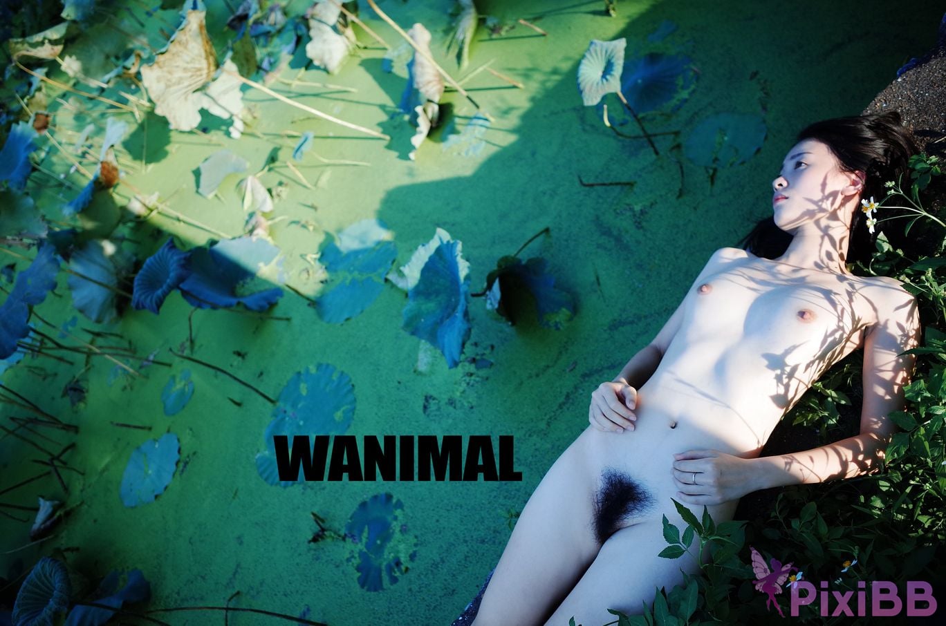 OtherXXX WANIMAL Wang Dong VIP Set of pictures Official product No.10 PixiBB.COM 091.JPG