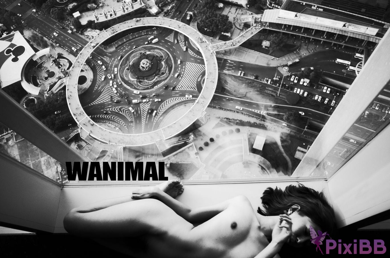 OtherXXX WANIMAL Wang Dong VIP Set of pictures Official product No.10 PixiBB.COM 108.JPG
