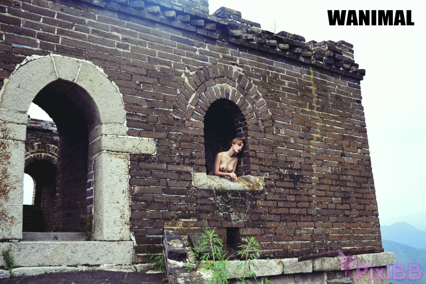 OtherXXX WANIMAL Wang Dong VIP Set of pictures Official product No.10 PixiBB.COM 109