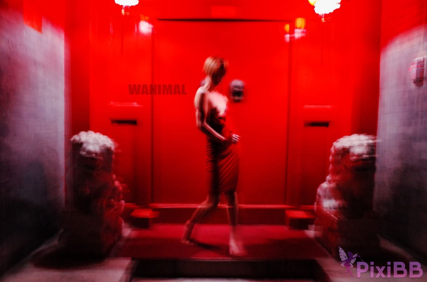 OtherXXX WANIMAL Wang Dong VIP Set of pictures Official product No.10 PixiBB.COM 111