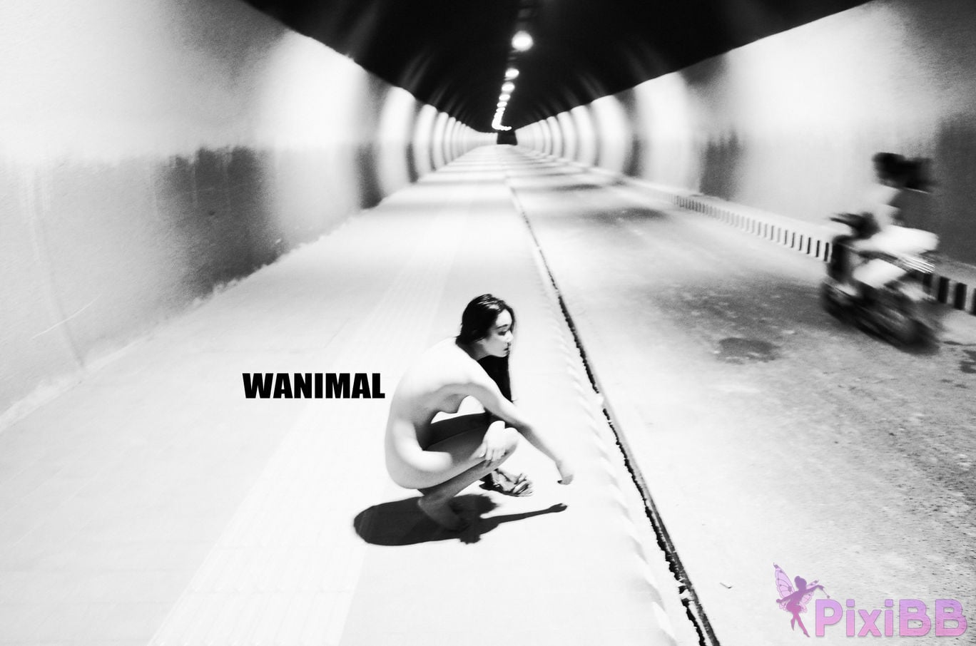 OtherXXX WANIMAL Wang Dong VIP Set of pictures Official product No.10 PixiBB.COM 128