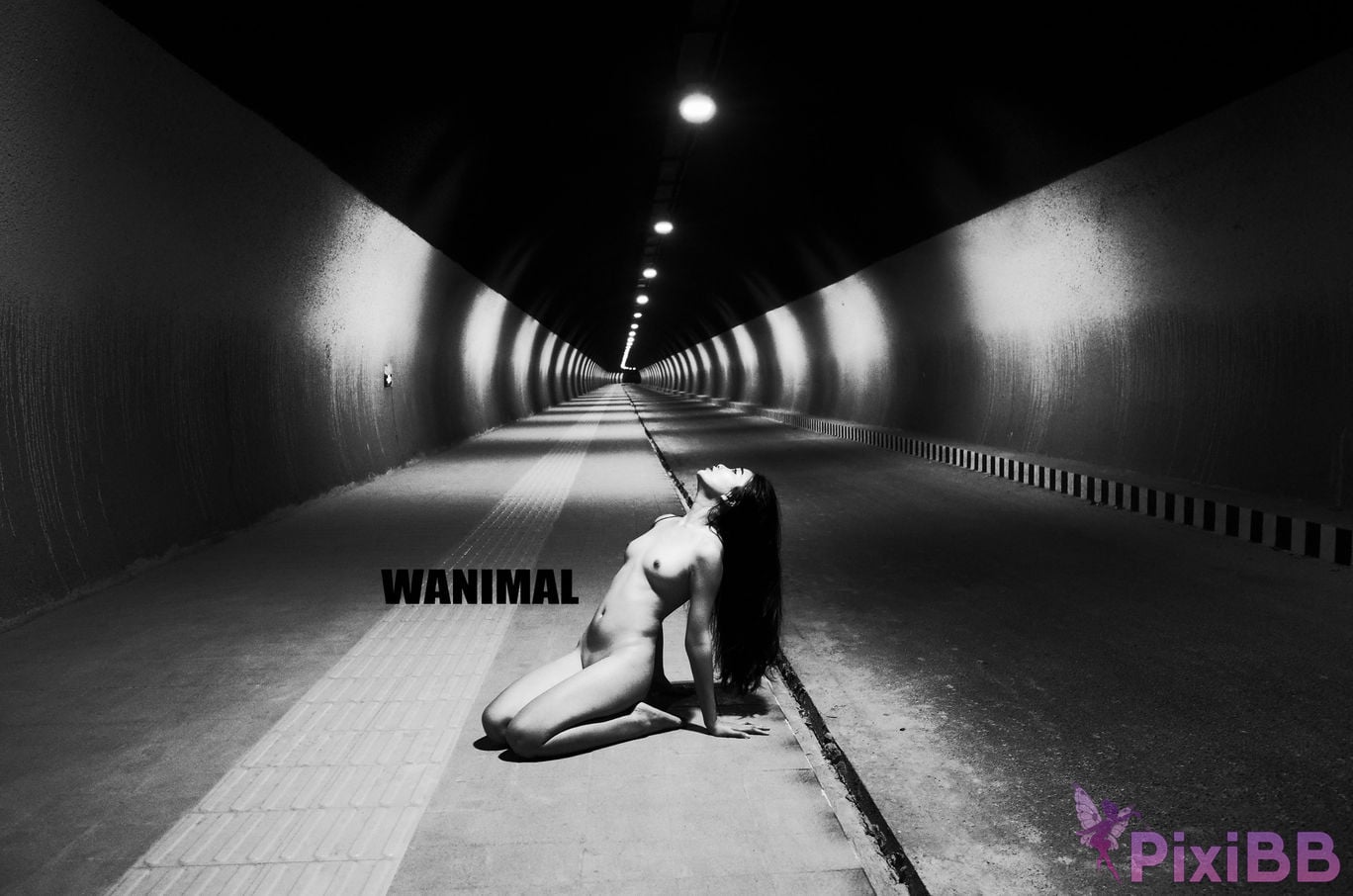 OtherXXX WANIMAL Wang Dong VIP Set of pictures Official product No.10 PixiBB.COM 130