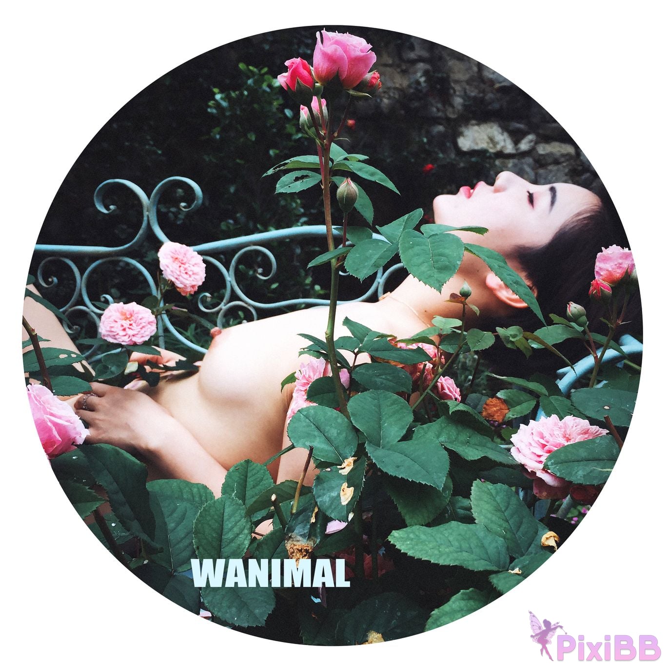 OtherXXX WANIMAL Wang Dong VIP Set of pictures Official product No.10 PixiBB.COM 132