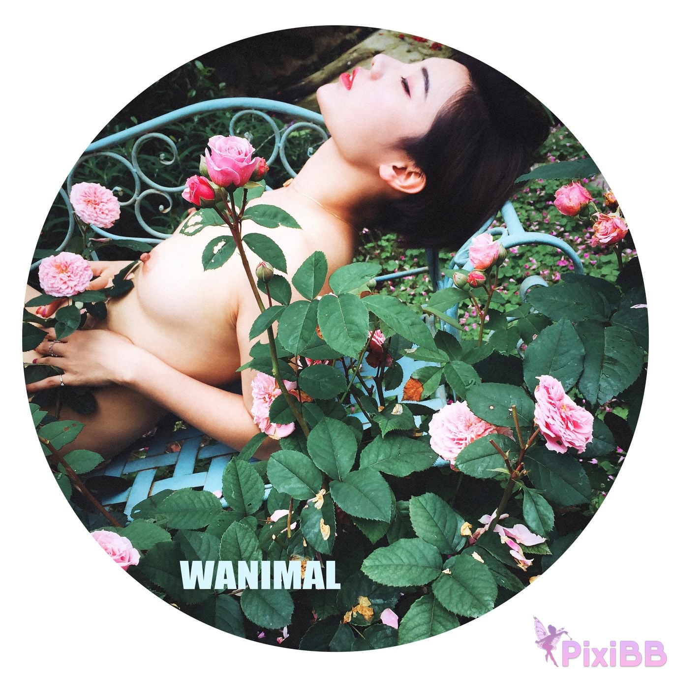 OtherXXX WANIMAL Wang Dong VIP Set of pictures Official product No.10 PixiBB.COM 133
