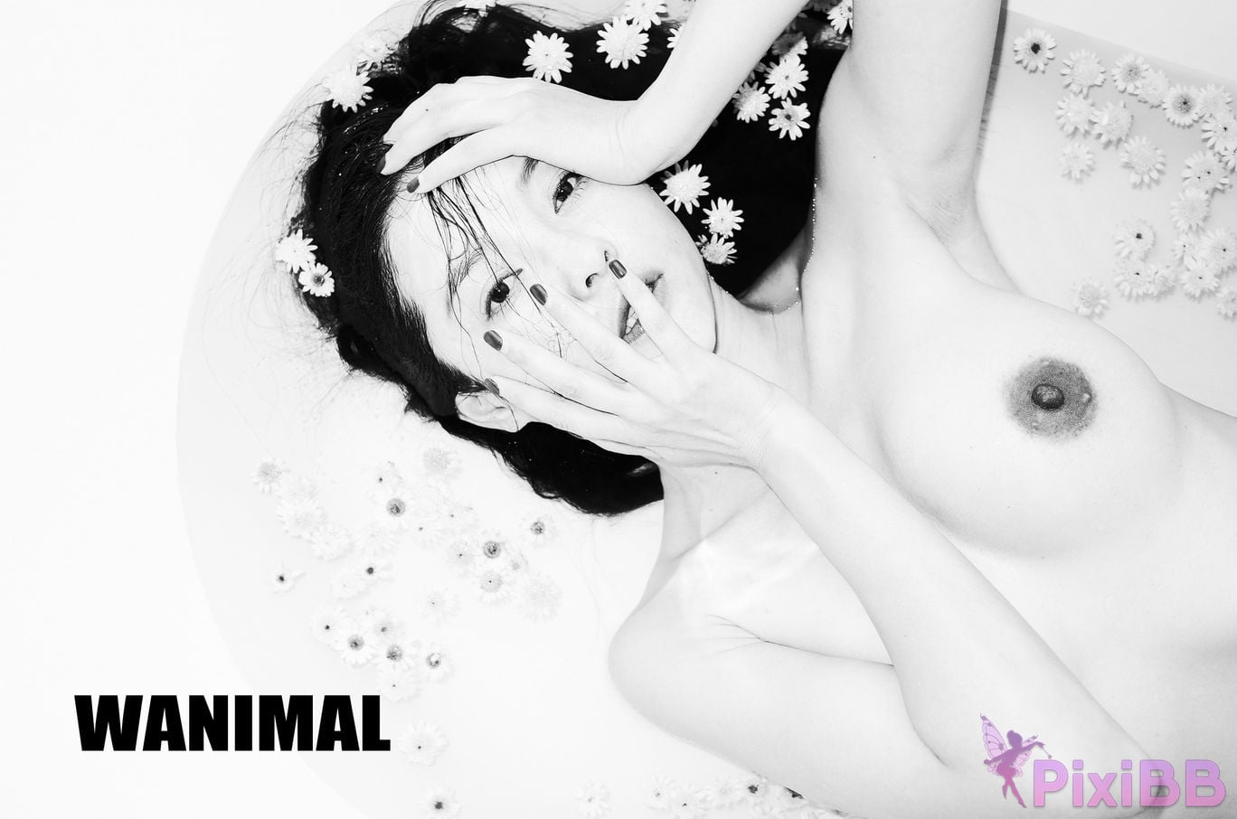 OtherXXX WANIMAL Wang Dong VIP Set of pictures Official product No.10 PixiBB.COM 148