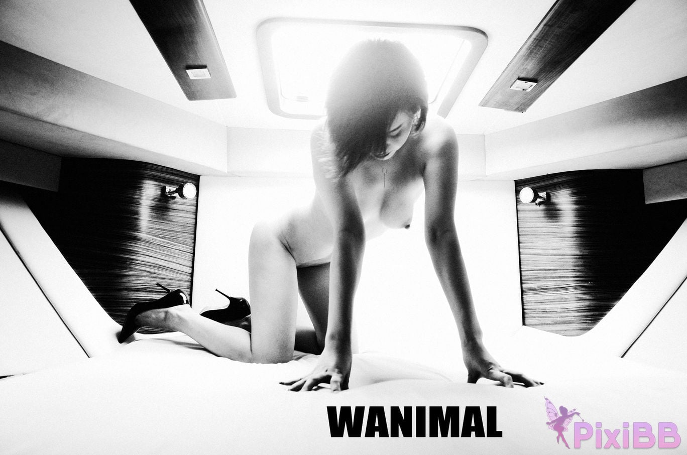 OtherXXX WANIMAL Wang Dong VIP Set of pictures Official product No.10 PixiBB.COM 151