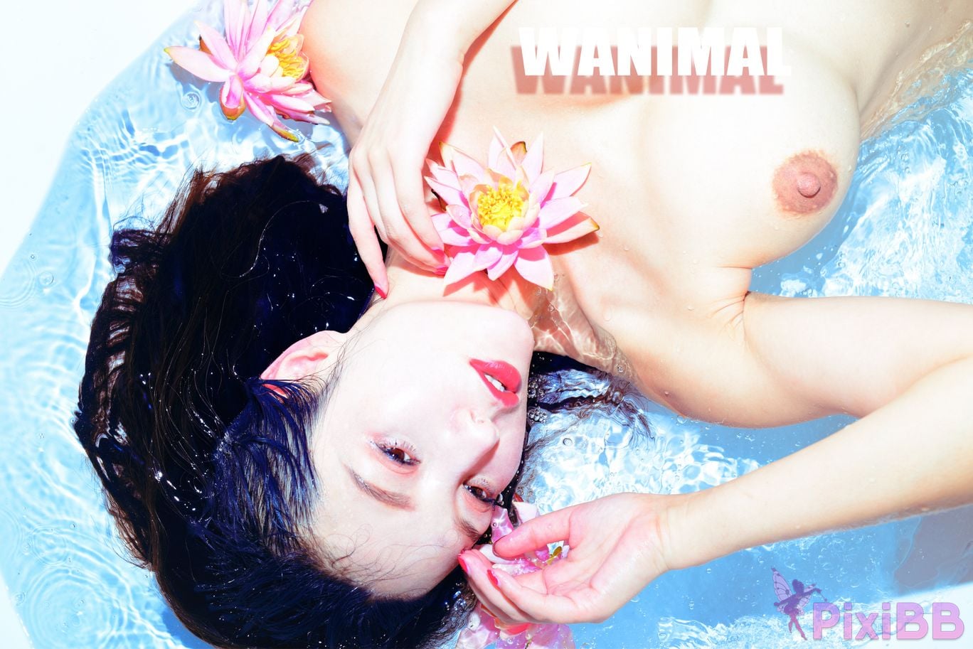 OtherXXX WANIMAL Wang Dong VIP Set of pictures Official product No.10 PixiBB.COM 160